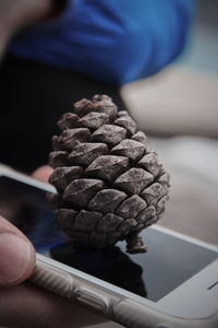 Close-up of hand holding bread