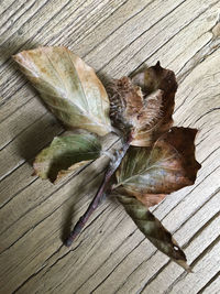 High angle view of dry leaves on table