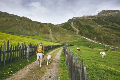 Man with dog walking on field against mountains