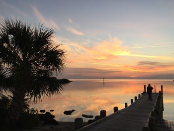 Silhouette palm tree by sea against sky during sunset