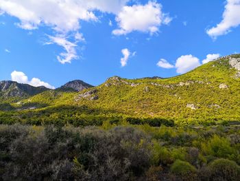 Scenic view of landscape against sky