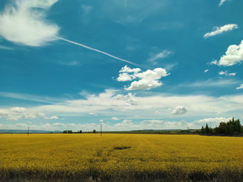 sky