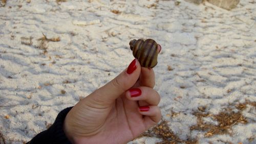 Woman holding shell on beach