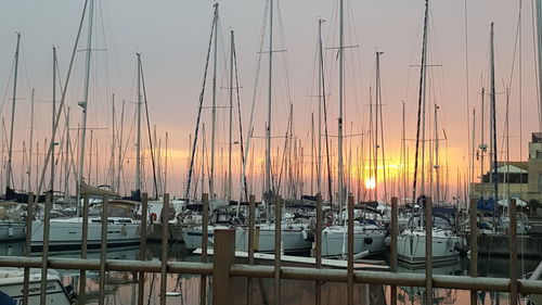 Sailboats moored at harbor against sky during sunset