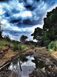 Reflection of cloudy sky in water