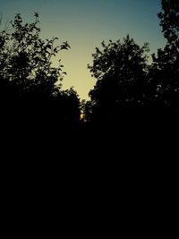 Silhouette trees against sky during sunset