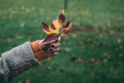 Close-up of hand holding autumn leaves