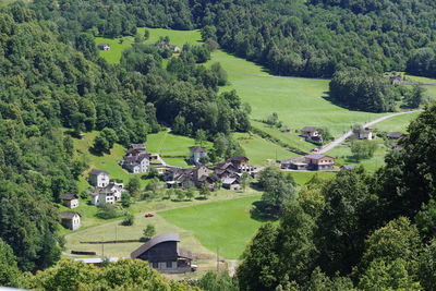 High angle view of trees and houses on field