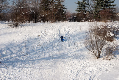 Little boy climbing the snow track in preparation for next slide.
