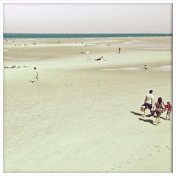 Scenic view of beach