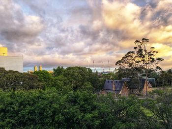 Plants and trees on field against sky