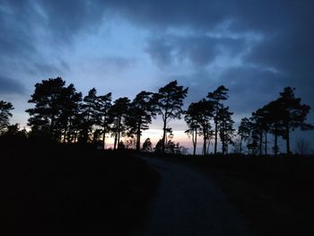 Silhouette trees on road against sky