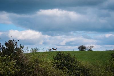 Scenic view of grassy landscape against cloudy sky