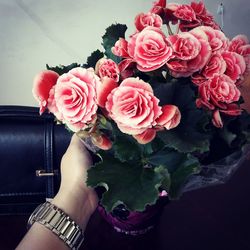 Close-up of hand holding bouquet