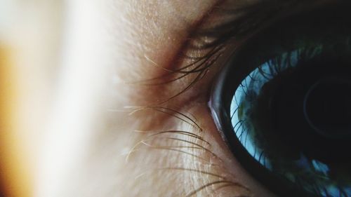 Macro shot of human eye