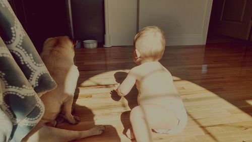 Low section of baby sitting on hardwood floor