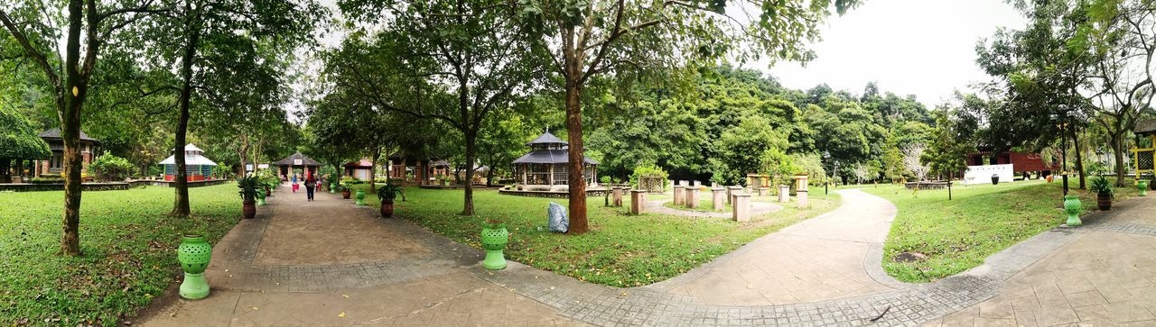 PANORAMIC VIEW OF TREES ON LANDSCAPE AGAINST SKY