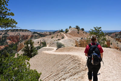 Rear view of people walking on mountain against sky