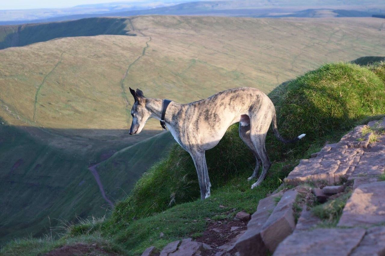 Pen y Fan mountain