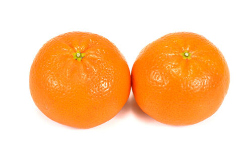 Close-up of orange fruit against white background