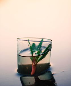 Close-up of drink in glass on table