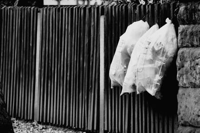 Plastic bags hanging on fence