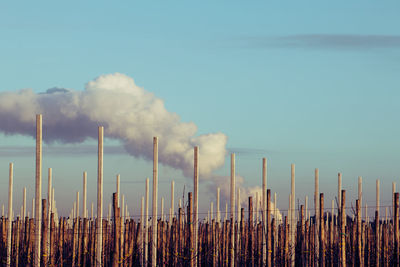 Smoke emitting from factory against sky