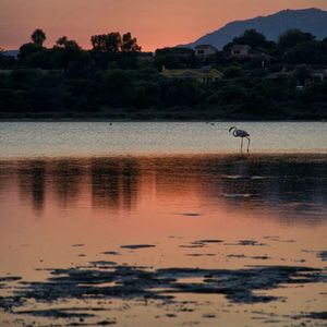 Scenic view of lake against orange sky