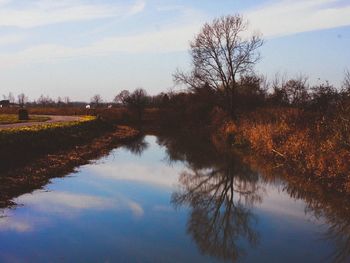 Reflection of trees in lake against sky