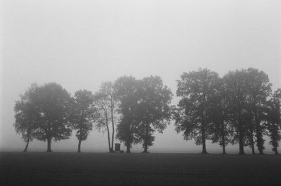 Trees on field against sky