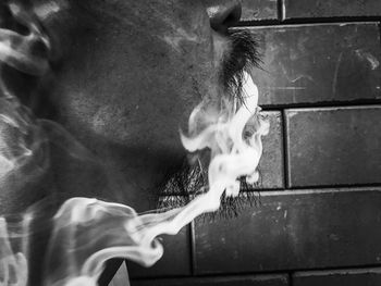 Close-up of a horse against wall