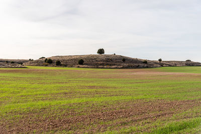 Scenic view of farm against sky