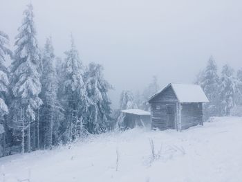 House by trees against sky during winter