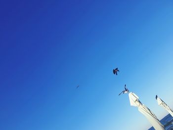 Low angle view of birds flying in sky