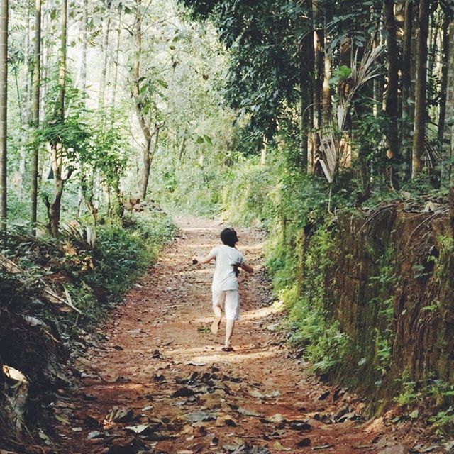 full length, the way forward, rear view, walking, tree, forest, dirt road, lifestyles, casual clothing, one animal, animal themes, diminishing perspective, leisure activity, standing, vanishing point, nature, day, growth