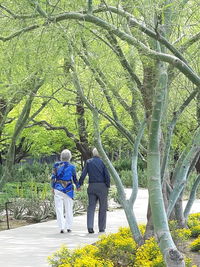 Rear view of man and woman walking on tree