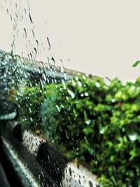 Water drops on glass window