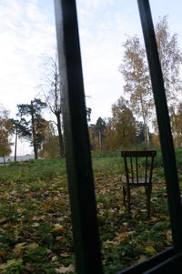 Empty bench in park