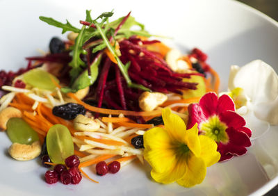 Close-up of flowers in plate