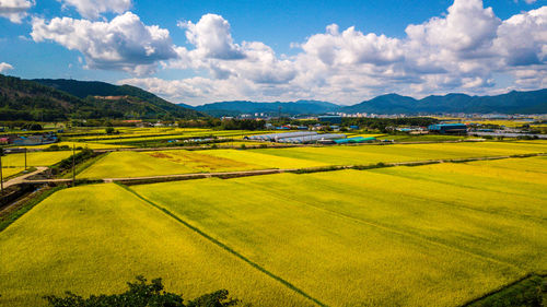 Scenic view of field against sky