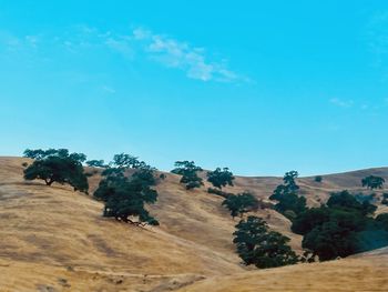 Scenic view of landscape against blue sky