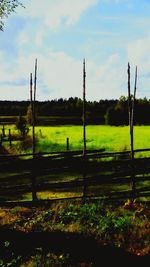 Scenic view of field against sky