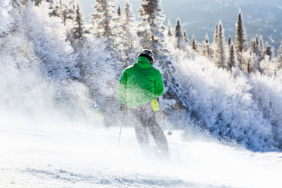 Rear view of man skiing in snow covered forest