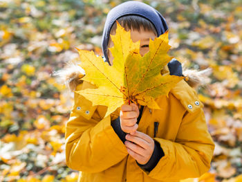 Little boy is hiding behind bright yellow maple leaf. autumn fun with fallen leaves in park. 