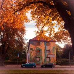 Cars parked in front of trees during autumn