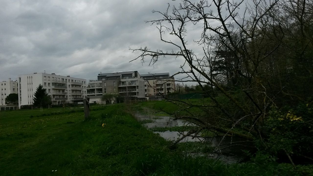 building exterior, architecture, built structure, grass, sky, cloud - sky, tree, house, green color, cloud, cloudy, grassy, residential structure, field, residential building, growth, nature, day, lawn, outdoors