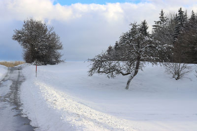 Trees on snow covered field against sky