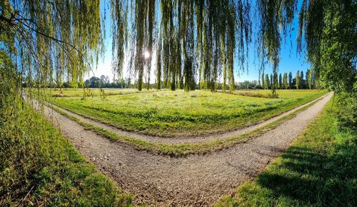 Panoramic view of a city park on a sunny day