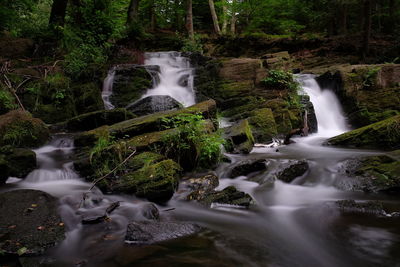 Scenic view of waterfall in forest