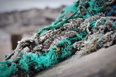 Close-up of fishing net on rope
